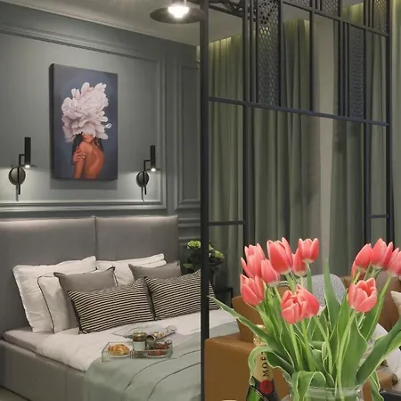 アパート Lights Skawinska